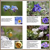 Le Mercantour Grandeur Nature