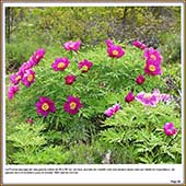 Le Mercantour Grandeur Nature