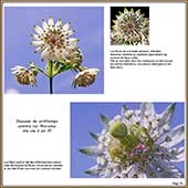 Le Mercantour Grandeur Nature