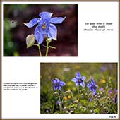 Le Mercantour Grandeur Nature