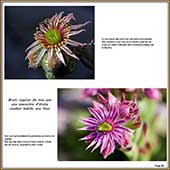 Le Mercantour Grandeur Nature