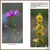 Le Mercantour Grandeur Nature