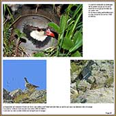 Le Mercantour Grandeur Nature