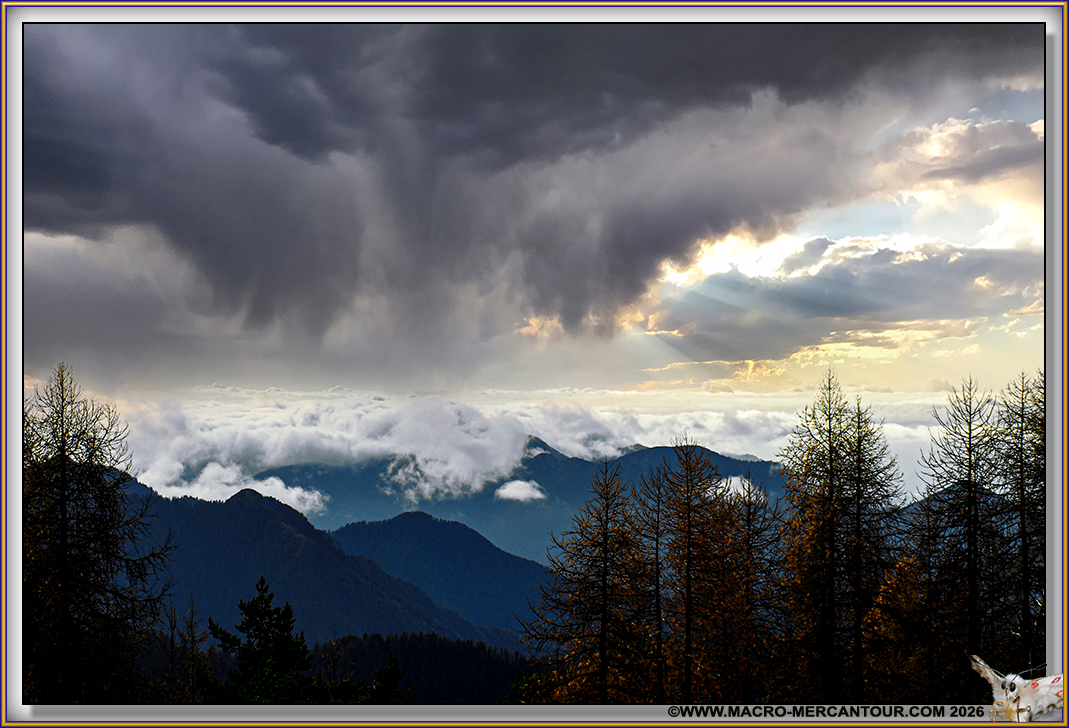 02-FortCarra-15-09322-CIEL copie